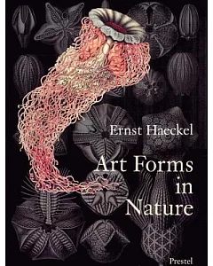 Art Forms in Nature: The Prints of Ernst haeckel