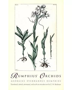 Rumphius’ Orchids: Orchid Texts
