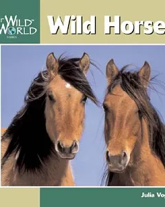 Wild Horses