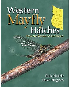 Western Mayfly Hatches: From The Rockies To The Pacific
