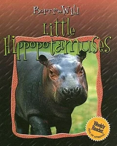 Little Hippopotamuses