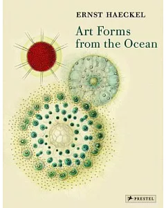 Art Forms From The Ocean: The Radiolarian Atlas Of 1862