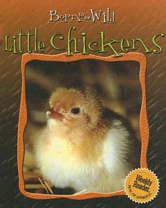 Little Chickens