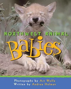 Northwest Animal Babies