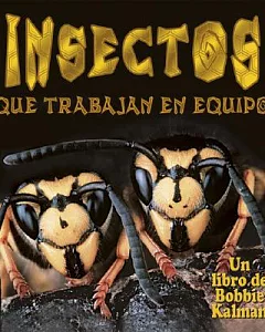 Insectos Que Trabajan En Equipo / Insects That Work Together