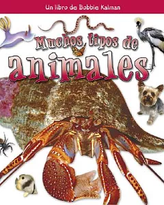 Muchos Tipos de Animales / Many Kinds of Animals