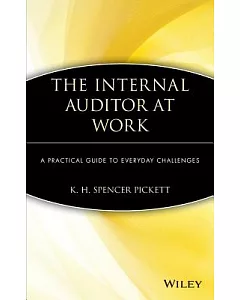 The Internal Auditor at Work: A Practical Guide to Everyday Challenges