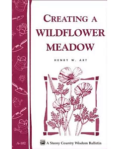 Creating a Wildflower Meadow