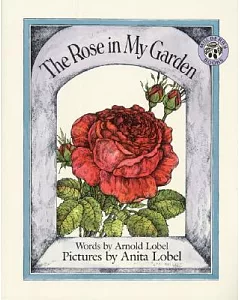 The Rose in My Garden