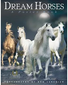 Dream Horses: A Poster Book