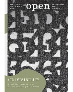 Open 8: (In)visibility: Beyond the Visible in Contemporary Art, Culture, And the Public Domain