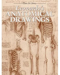 leonardo’s Anatomical Drawings