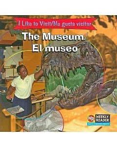 The Museum/el Museo