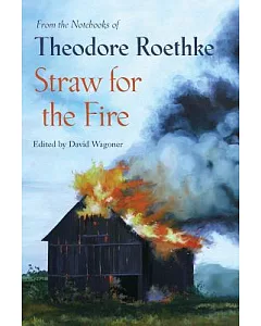 Straw for the Fire: From the Notebooks of Theodore Roethke: 1943-1963