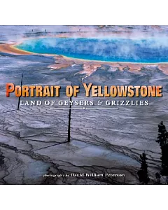 Portrait of Yellowstone: Land of Geysers And Grizzlies