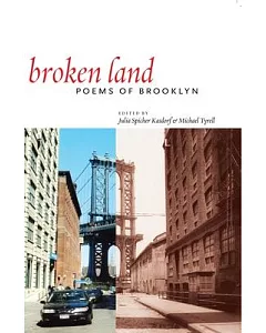 Broken Land: Poems of Brooklyn