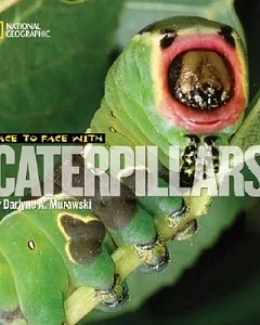 Face to Face With Caterpillars