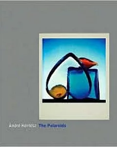 Andre Kertesz: The Polaroids