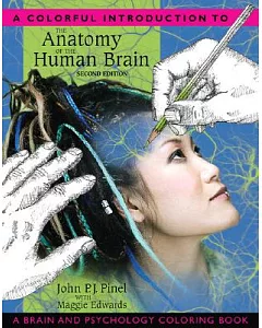 A Colorful Introduction to the Anatomy of the Human Brain Coloring Book: A Brain and Psychology Coloring Book