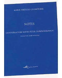 Notes: Conversation With Peter downsbrough