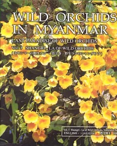 Wild Orchids in Myanmar: Last paradise of Wild Orchids: Shangri-la of Wild Orchids
