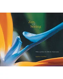 Zen of Seeing