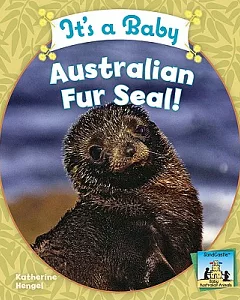 It’s a Baby Australian Fur Seal!