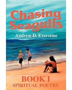 Chasing Seagulls