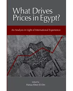 What Drives Prices in Egypt?: An Analysis in Light of International Experience
