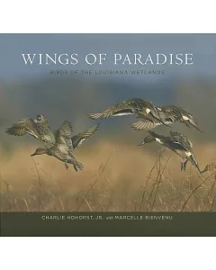Wings of Paradise: Birds of the Louisiana Wetlands