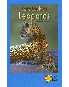 Let’s Look at Leopards