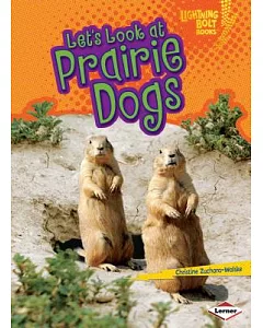 Let’s Look at Prairie Dogs
