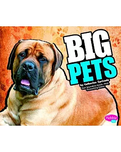 Big Pets