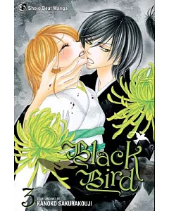 Black Bird 3