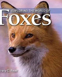 Exploring the World of Foxes