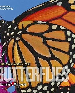 Face to Face with Butterflies
