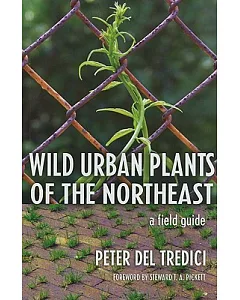 Wild Urban Plants of the Northeast: A Field Guide
