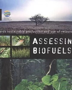 Towards Sustainable Production and Use of Resources: Assessing Biofuels