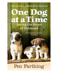 One Dog at a Time: Saving the Strays of Helmand-an Inspiring True Story