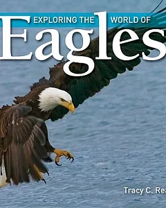 Exploring the World of Eagles