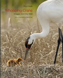 Whooping Crane: Images from the Wild