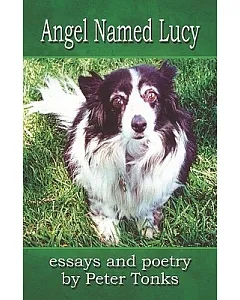 Angel Named Lucy: Essays And Poetry