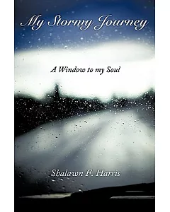 My Stormy Journey: A Window to My Soul