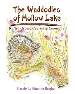 The Waddodles of Hollow lake: Ruffed Grouse Courtship Ceremony