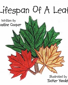 Lifespan of a Leaf