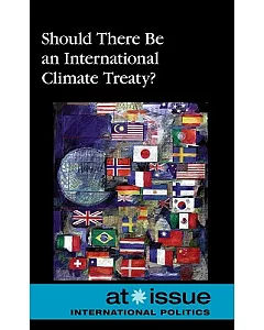 Should There Be an International Climate Treaty?