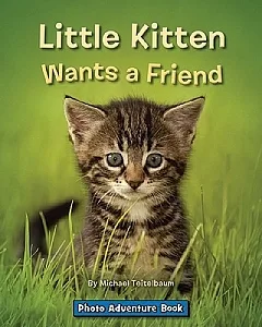 Little Kitten Wants a Friend