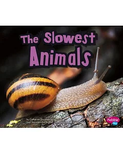 The Slowest Animals
