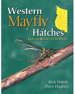 Western Mayfly Hatches: From the Rockies to the Pacific
