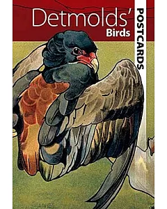 Detmolds’ Birds